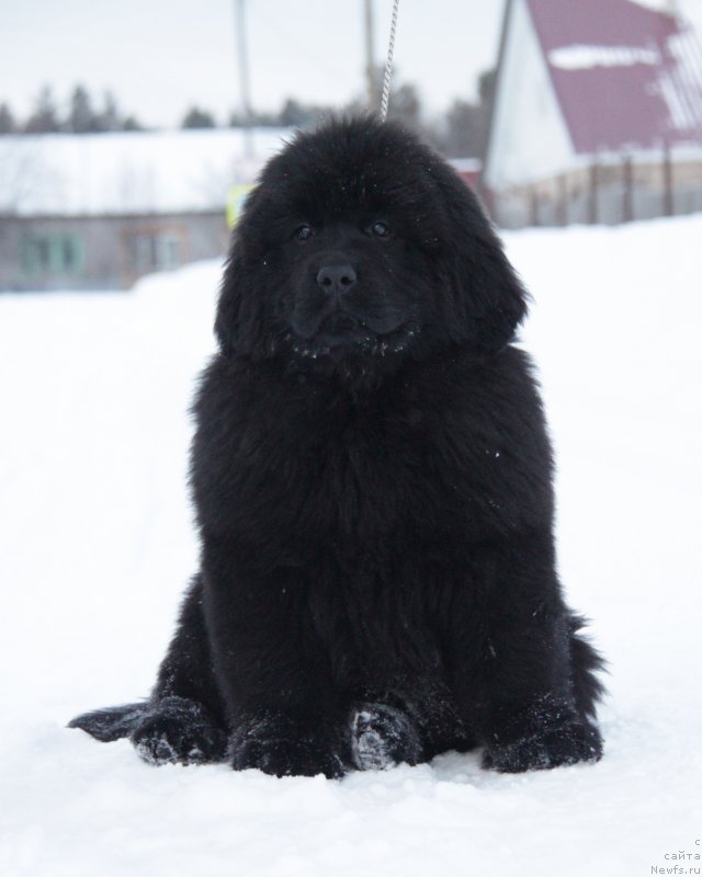 Фото: Акватория Келвин Большая Медведица