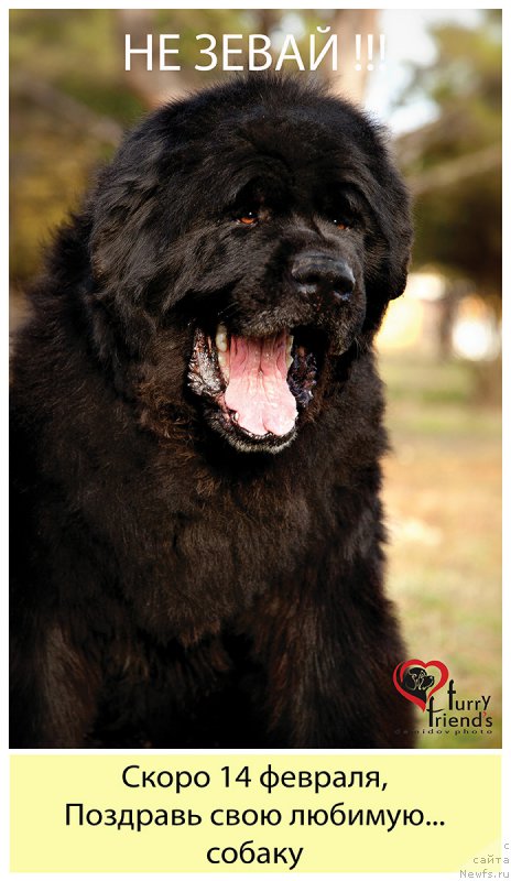 Фотография № 174503