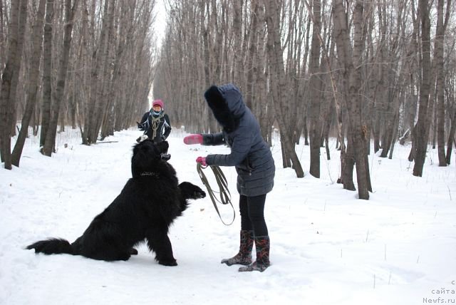 Фотография № 174505