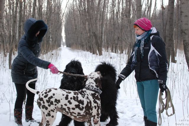 Фотография № 174507