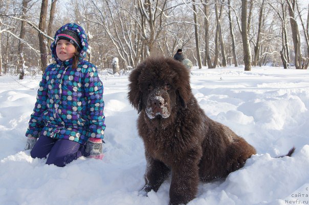 Фотография № 174510