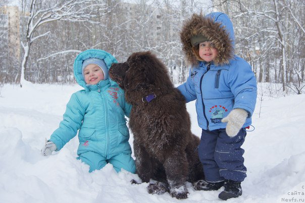 Фотография № 174511