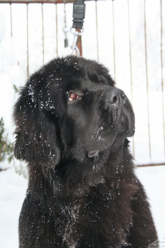 Фотография № 174516