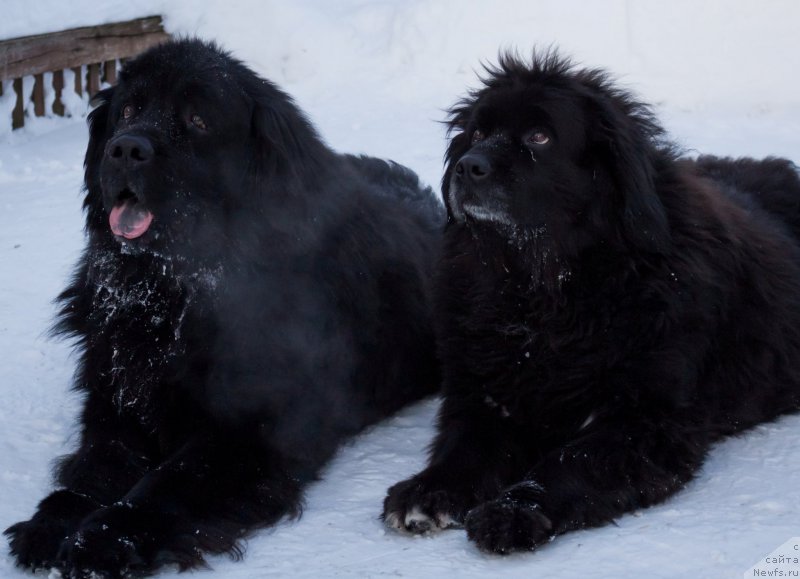 Фото: [d7429] и Лора