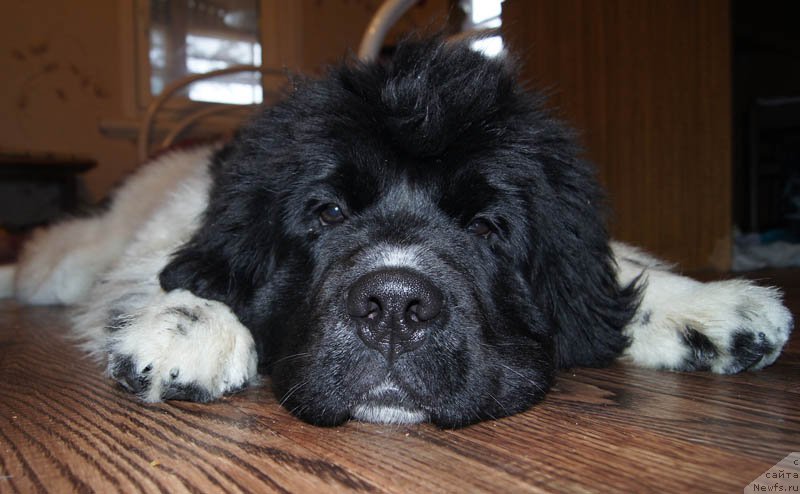 Фотография № 174527