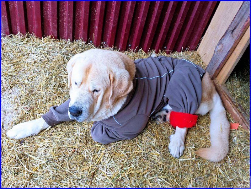 Фотография № 174564