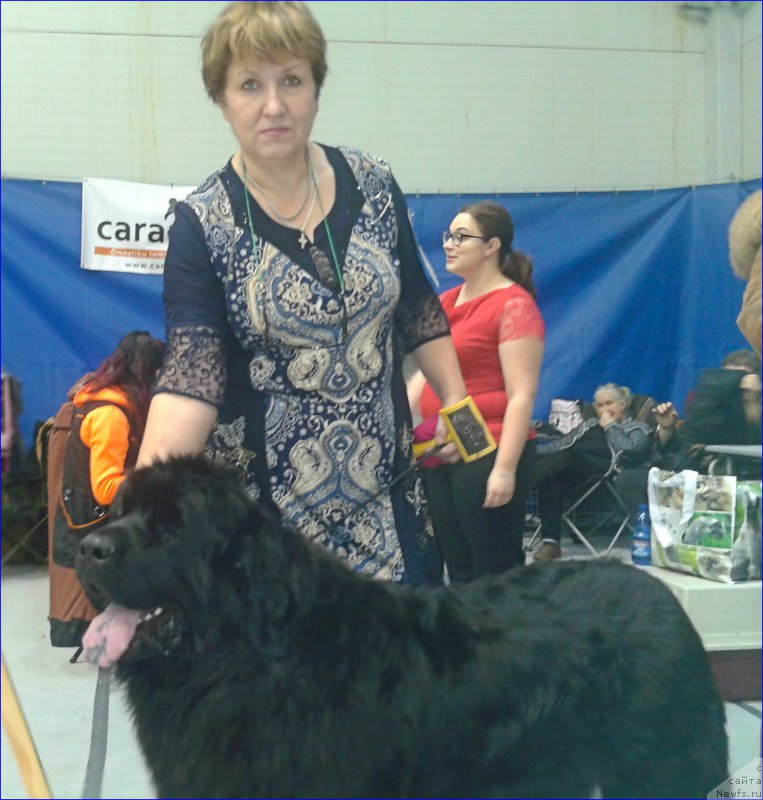 Фотография № 174588