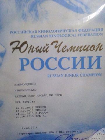 Фотография № 174599