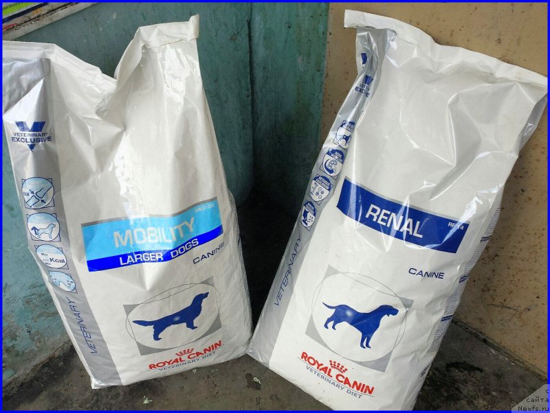 Фотография № 174604