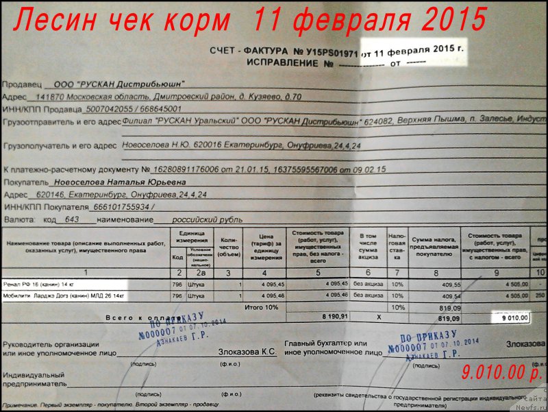 Фото: ньюфаундленд Валенсия Черная Жемчужина