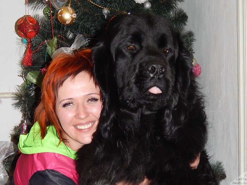 Фотография № 174702