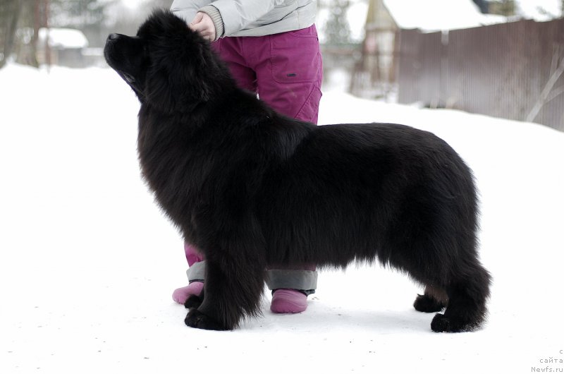 Фотография № 174703