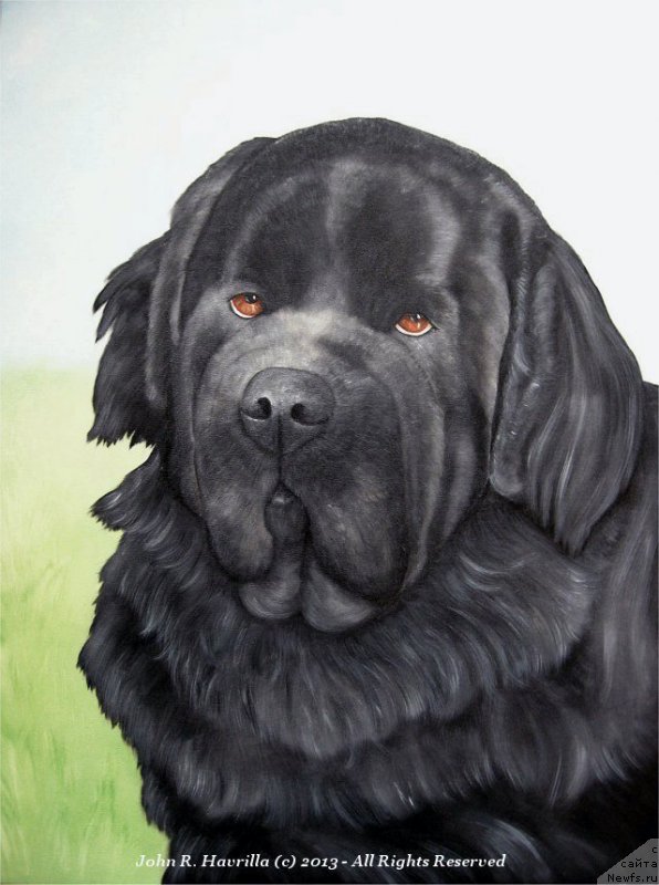 Фотография № 174707