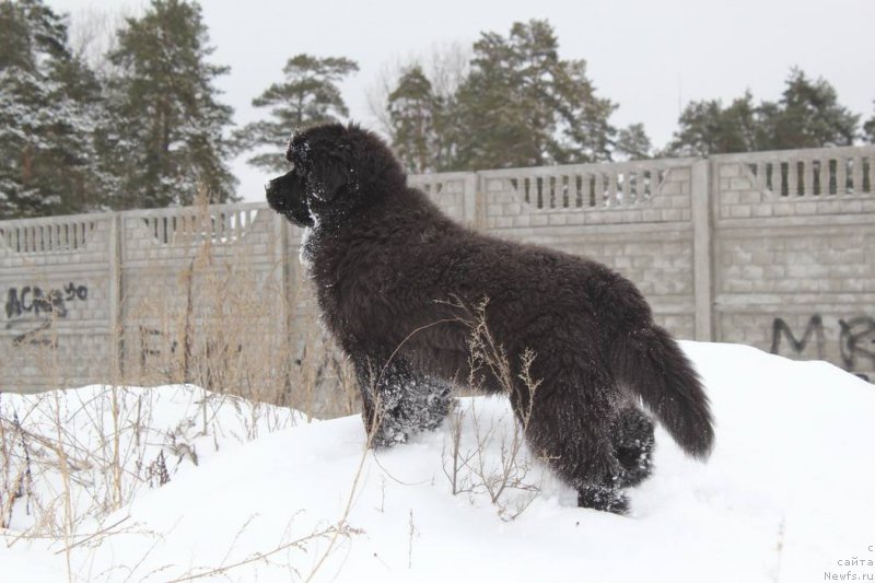 Фотография № 174719