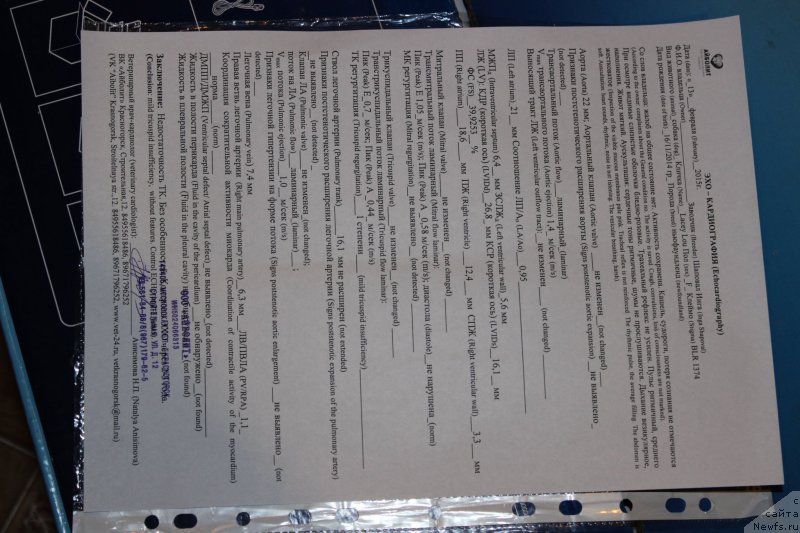 Фотография № 174764