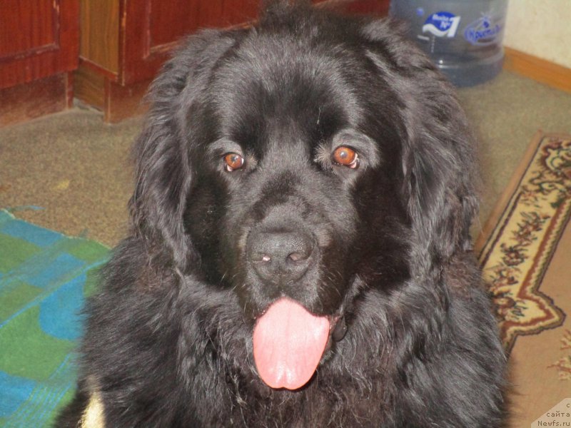 Фотография № 174843