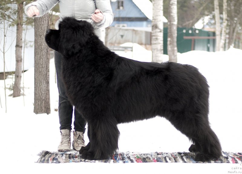 Фотография № 174845