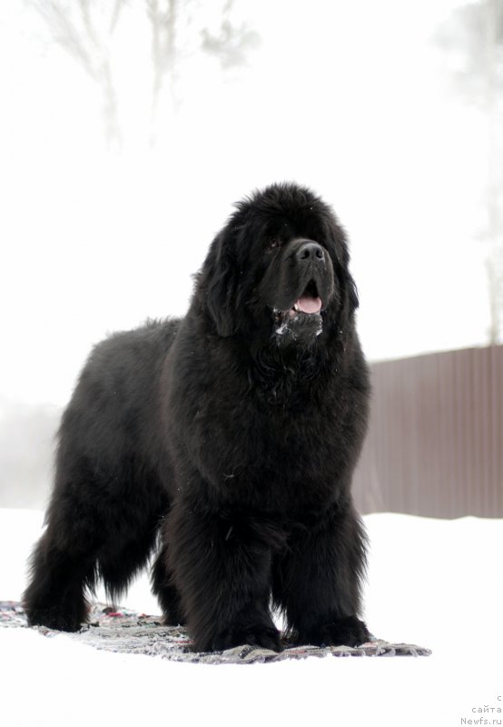 Фотография № 174846