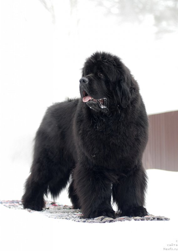 Фотография № 174847