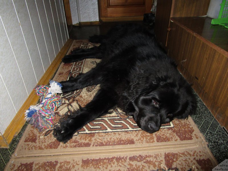 Фото: Светлана Фролова