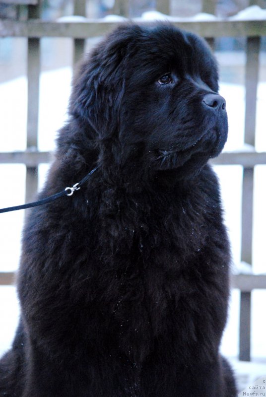 Фотография № 174875