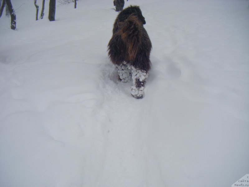 Фотография № 174889