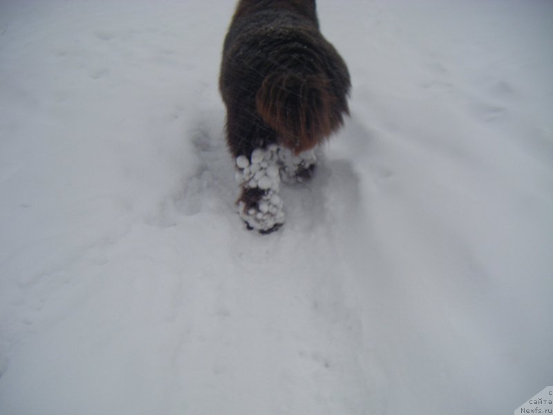 Фотография № 174894