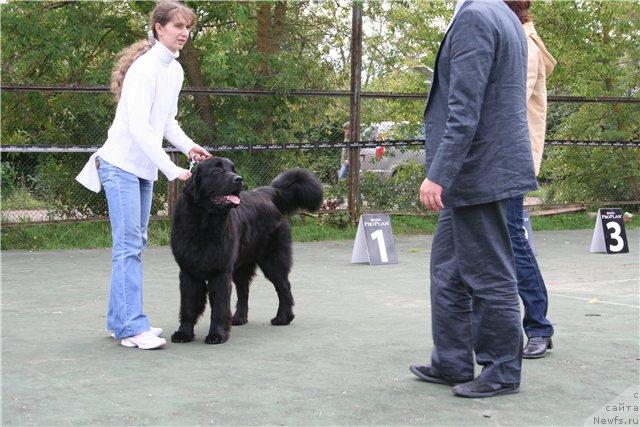 Фотография № 17493