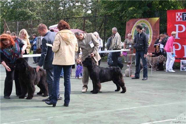 Фотография № 17494