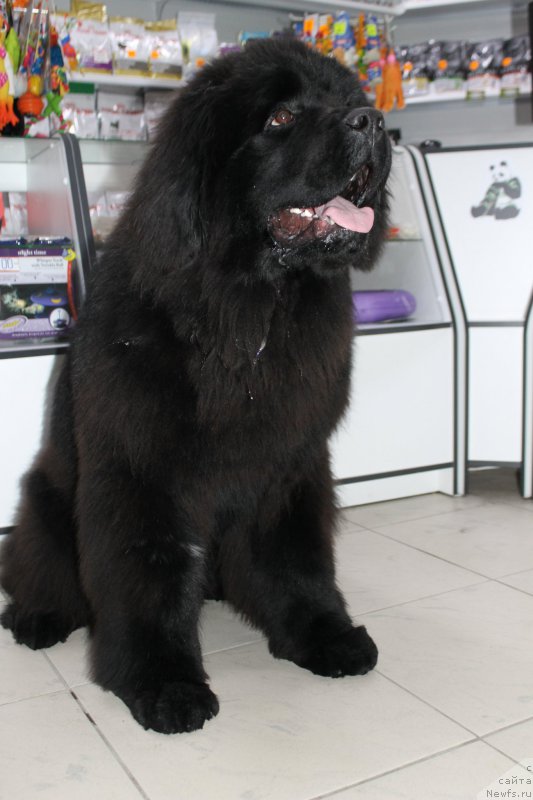 Фотография № 174984