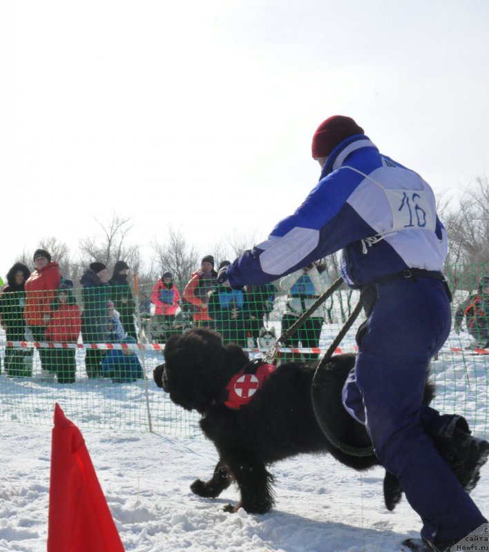 Фотография № 175005