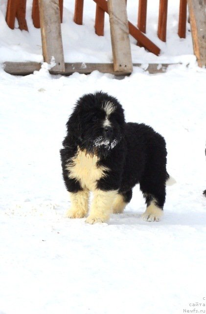 Фотография № 175015