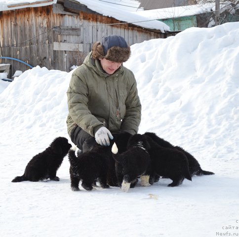 Фотография № 175019