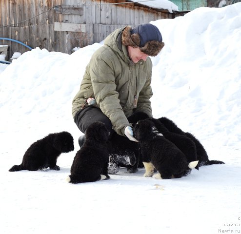 Фотография № 175020