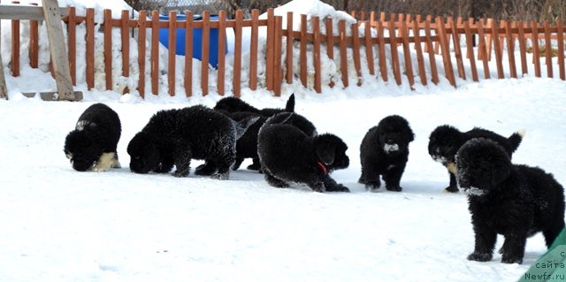 Фотография № 175022