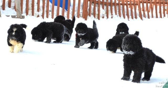 Фотография № 175023