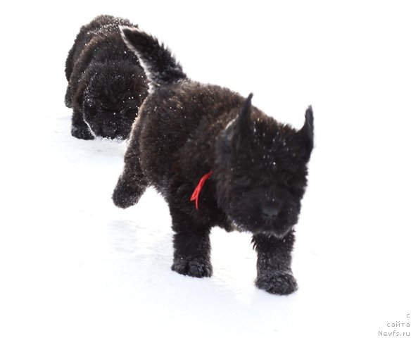 Фотография № 175040