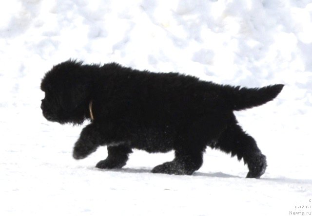 Фотография № 175050