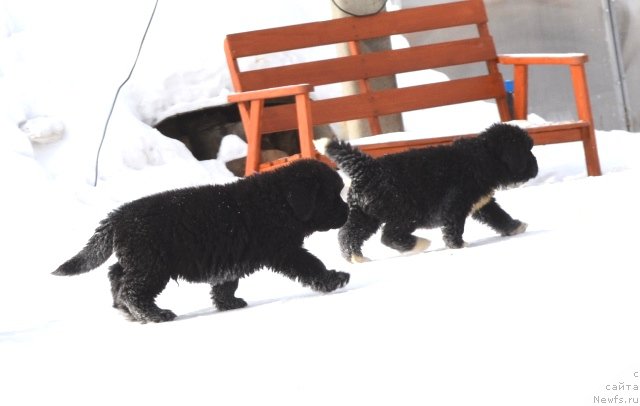 Фотография № 175051