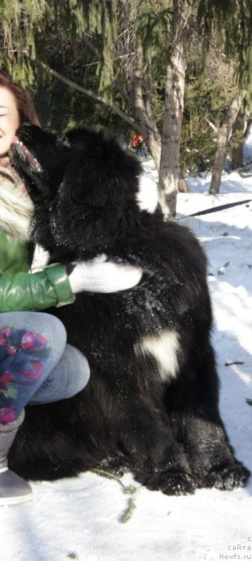 Фотография № 175054