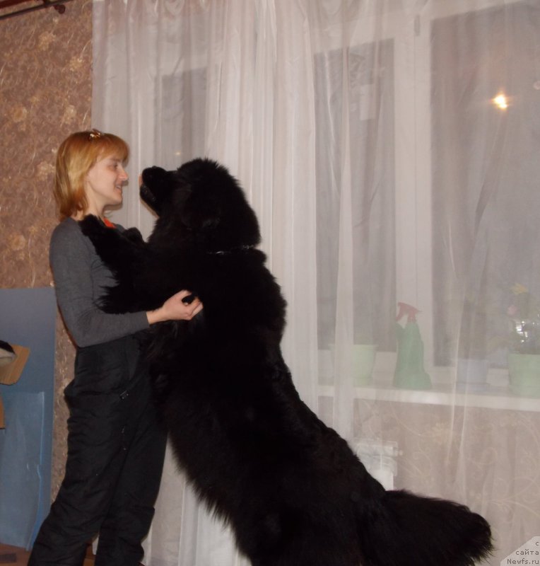 Фотография № 175055