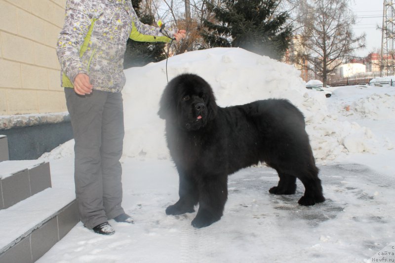 Фотография № 175071