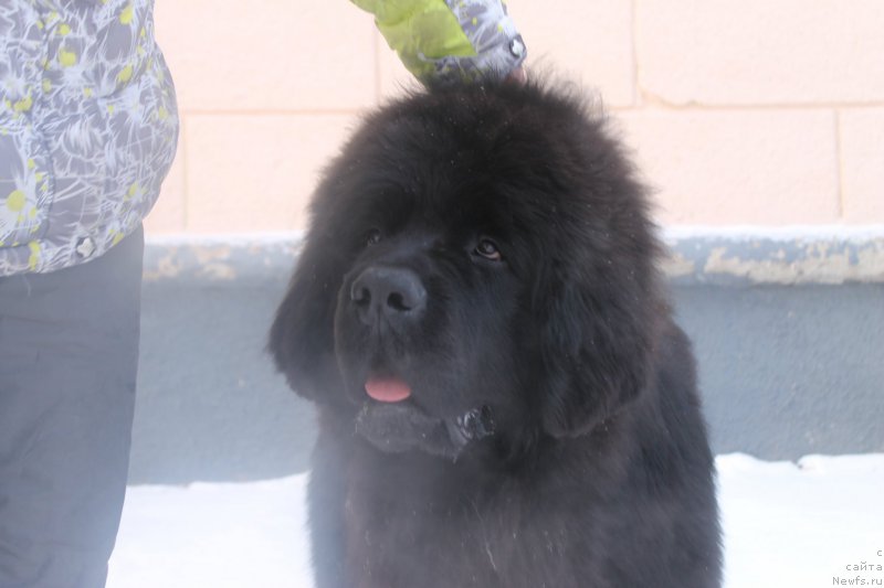 Фотография № 175073