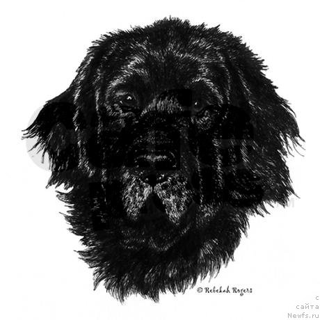 Фотография № 175076