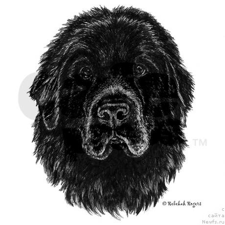 Фотография № 175078