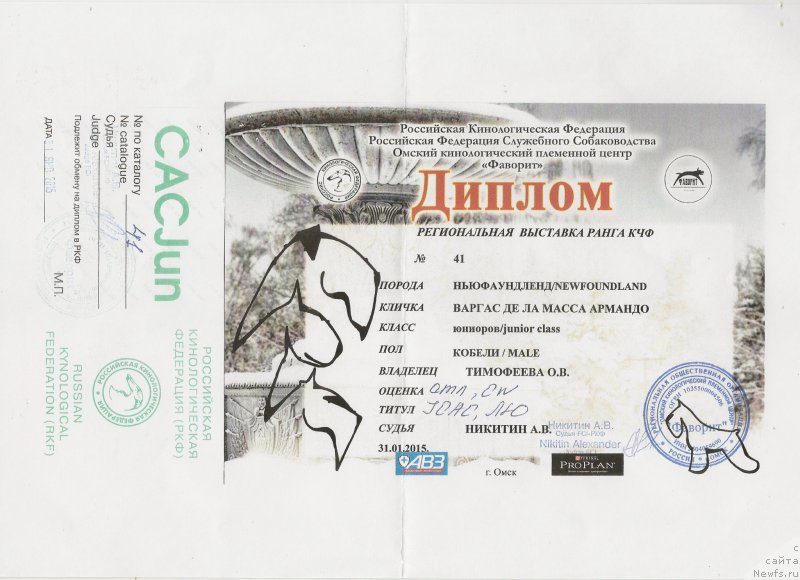 Фото: ньюфаундленд Варгас Де Ла Масса Армандо (Vargas de la Massa Armando)