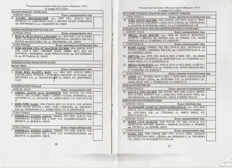 Фото: ньюфаундленд Варгас Де Ла Масса Армандо (Vargas de la Massa Armando)