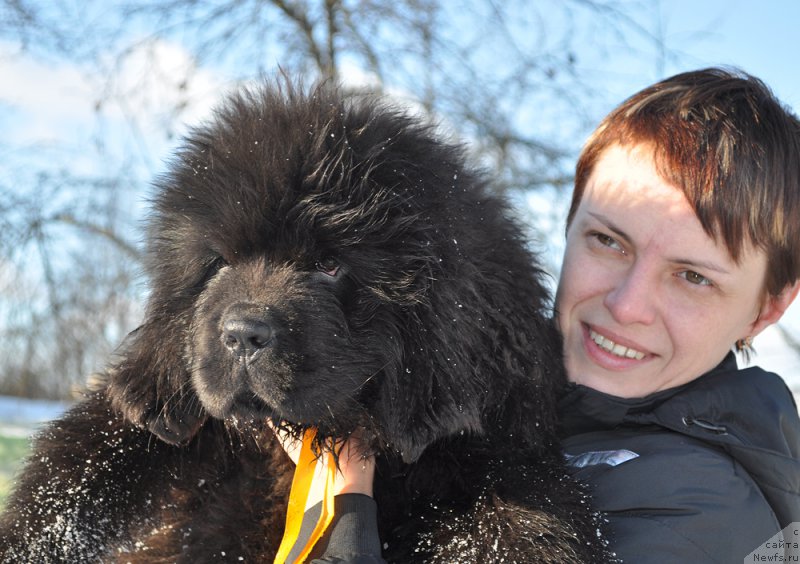 Фото: Бегущая по волнам Алмост Анреал