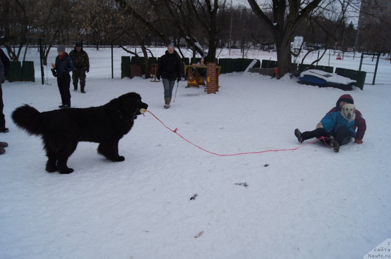 Фотография № 175091