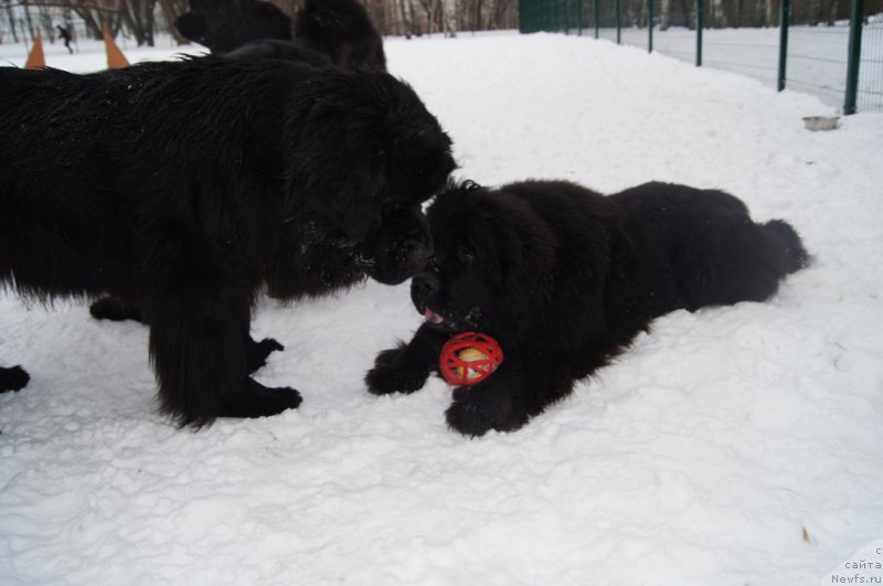 Фотография № 175092